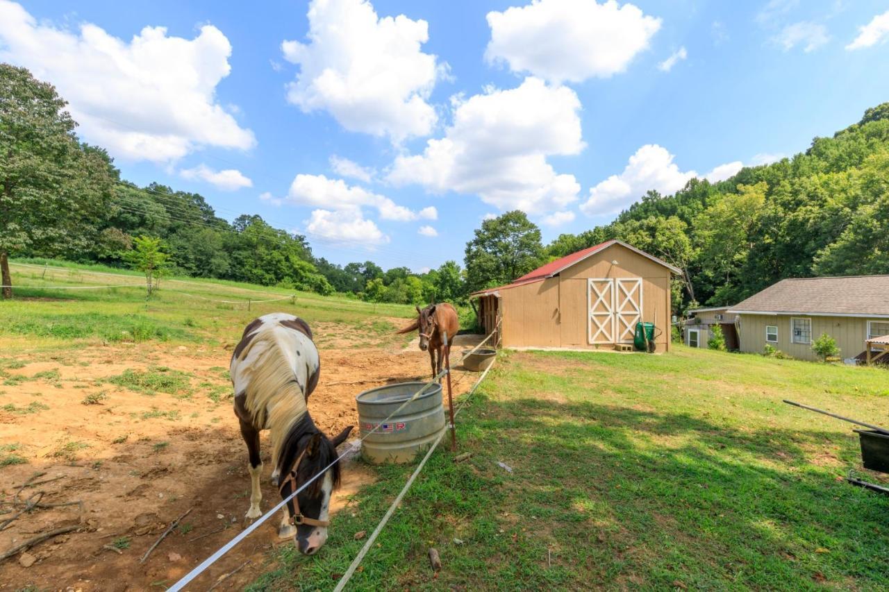 4 Bedroom Country Getaway